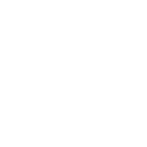 BIM-Integrated Workflow