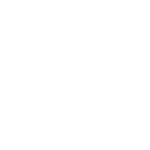 Data-Rich Parametric Models