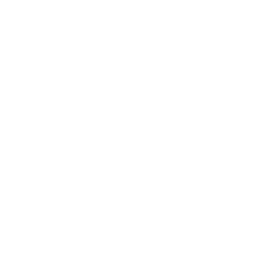 Fast & Reliable Delivery