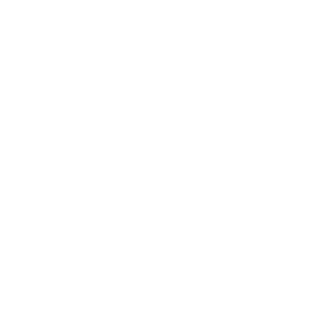 Global Design Standards