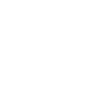 Global Project Experience