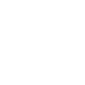 Global Quality Standards