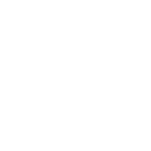 Global Standard Compliance