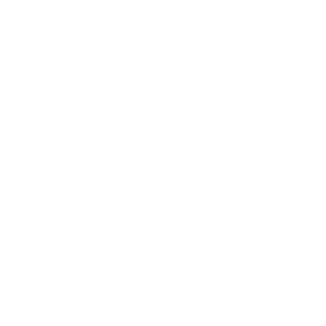 High-Accuracy Digitization