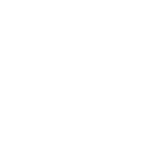 LOD 100 to 500 Precision