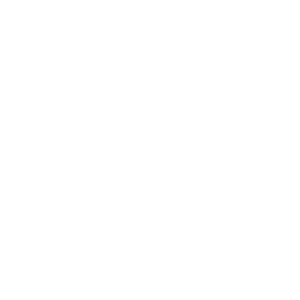 LOD 400 Technical Precision