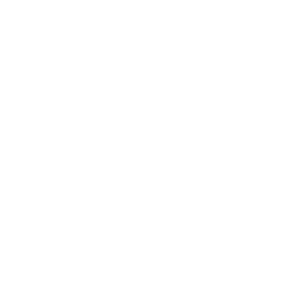 Multi-Software Expertise