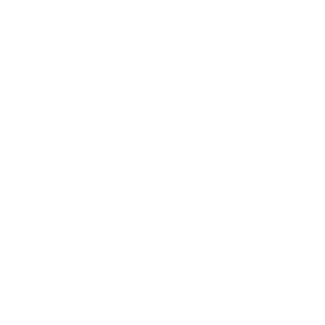 Multi-Standard Compliance