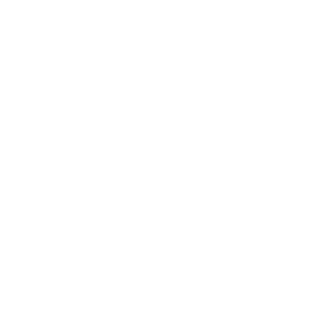 NEN 2580 Standards Mastery