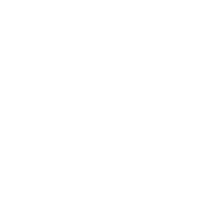 Optimized Project Timelines