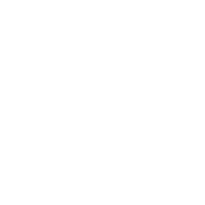 Parametric Excellence