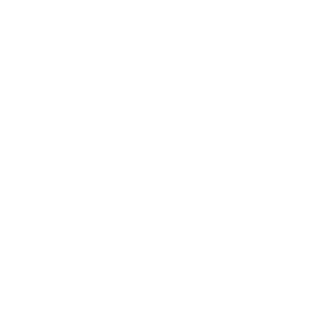 Rapid Delivery Cycles