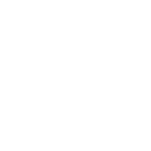 Software Agnostic Experts