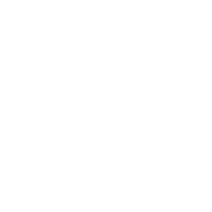 Centralized project information