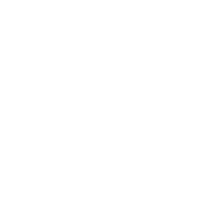 Cost Estimation
